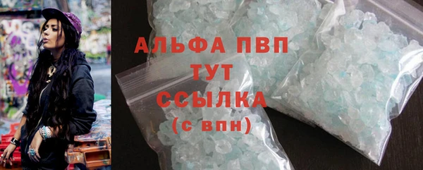 спиды Вяземский