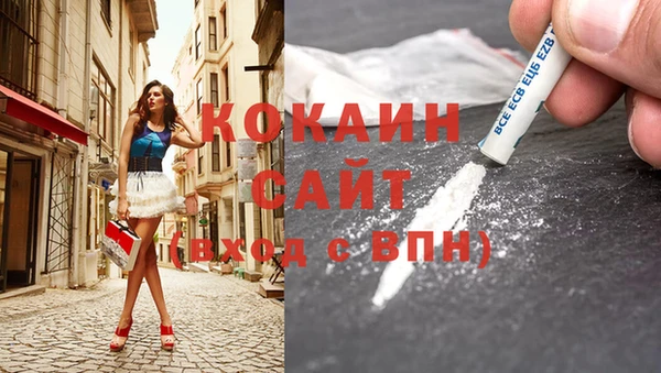 сатива Вязьма