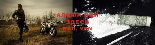спиды Вяземский