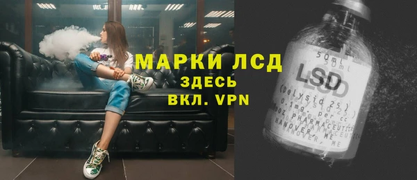 спиды Вяземский