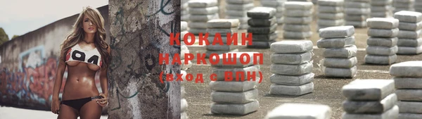 спиды Вяземский