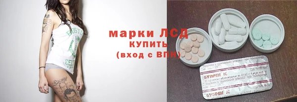 спиды Вяземский