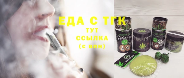 спиды Вяземский