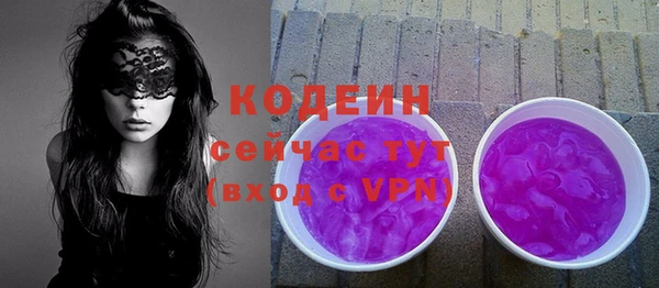 спиды Вяземский
