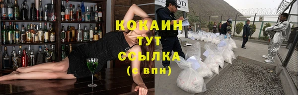 ГАЛЛЮЦИНОГЕННЫЕ ГРИБЫ Вязники