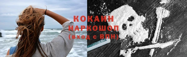 ГАЛЛЮЦИНОГЕННЫЕ ГРИБЫ Вязники