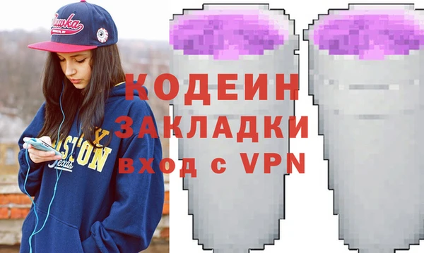 спиды Вяземский