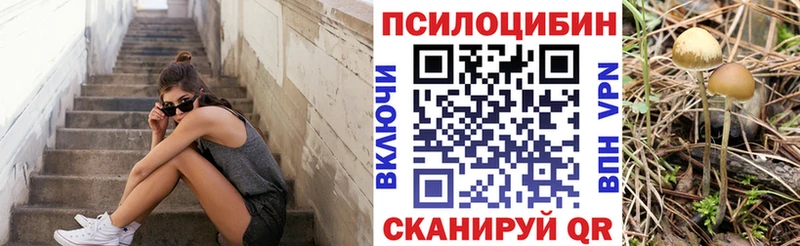 ссылка на мегу ТОР  Канаш  Псилоцибиновые грибы GOLDEN TEACHER 